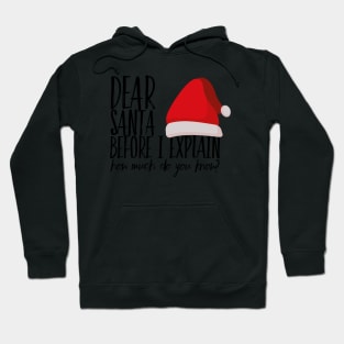 Dear Santa before I explain how much do you know Hoodie